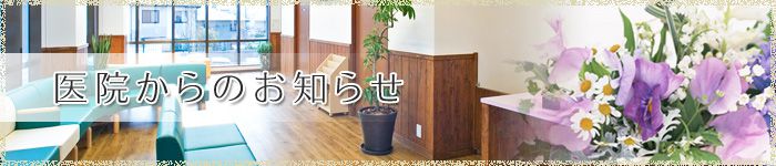 過去の更新情報